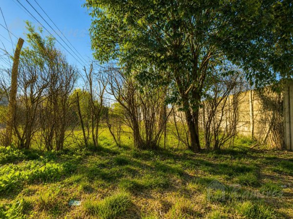 Lote | Francisco Alvarez | Gonzalez Moreno