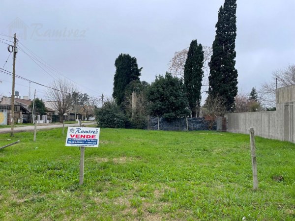 Lote | Francisco Alvarez | Gonzalez Moreno