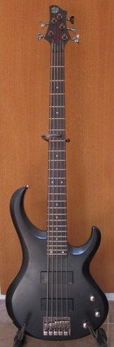 Ibanez BTB 205 5 Cuerdas Activo 24 Trast en Tandil - Región 20